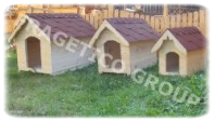 Niche Rex