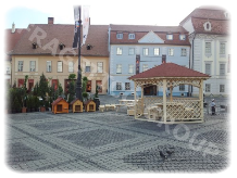 Exposition Le salon du jardin - Sibiu